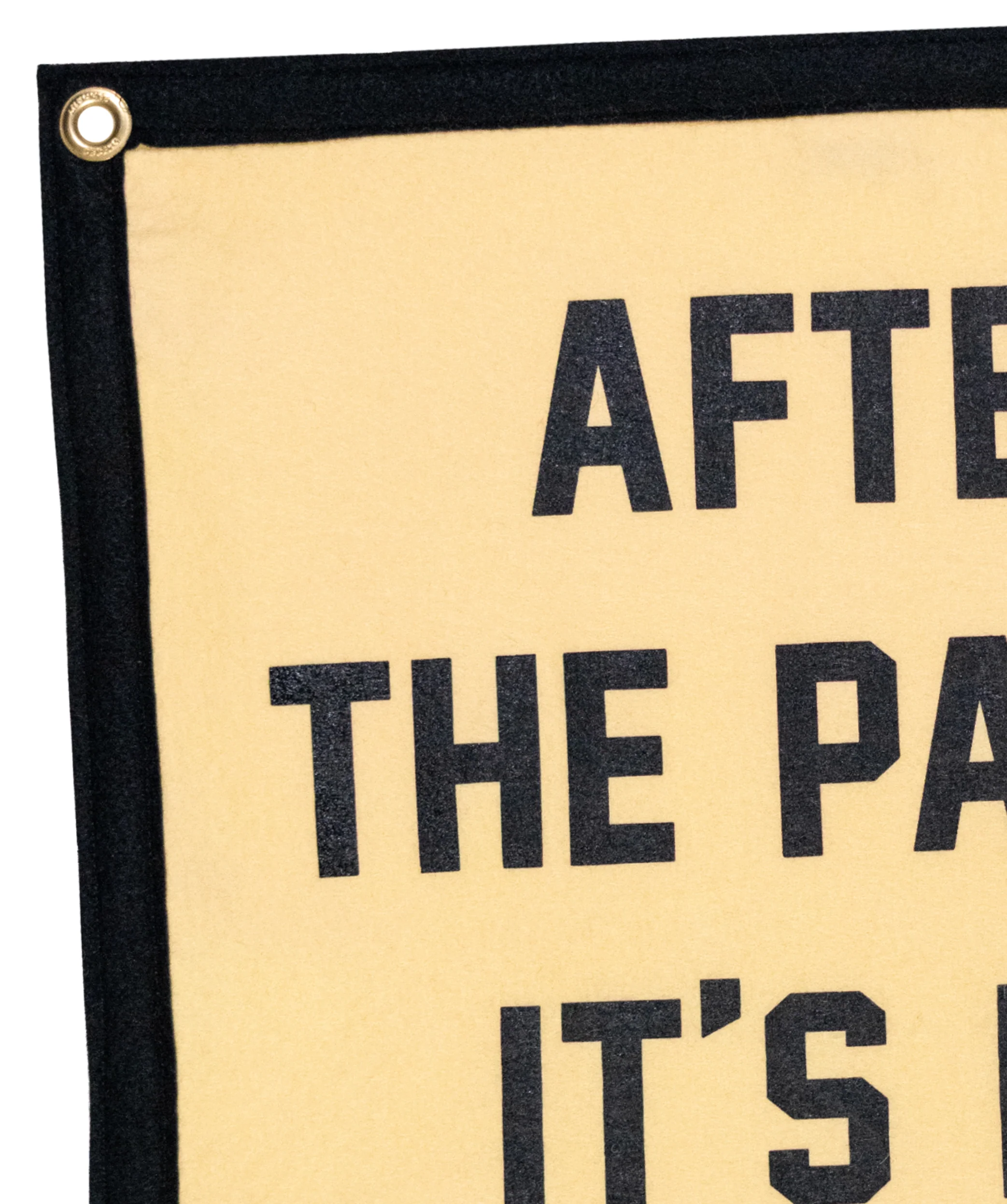 After The Party It's Me and You Camp Flag • The Menzingers x Oxford Pennant - Image 4