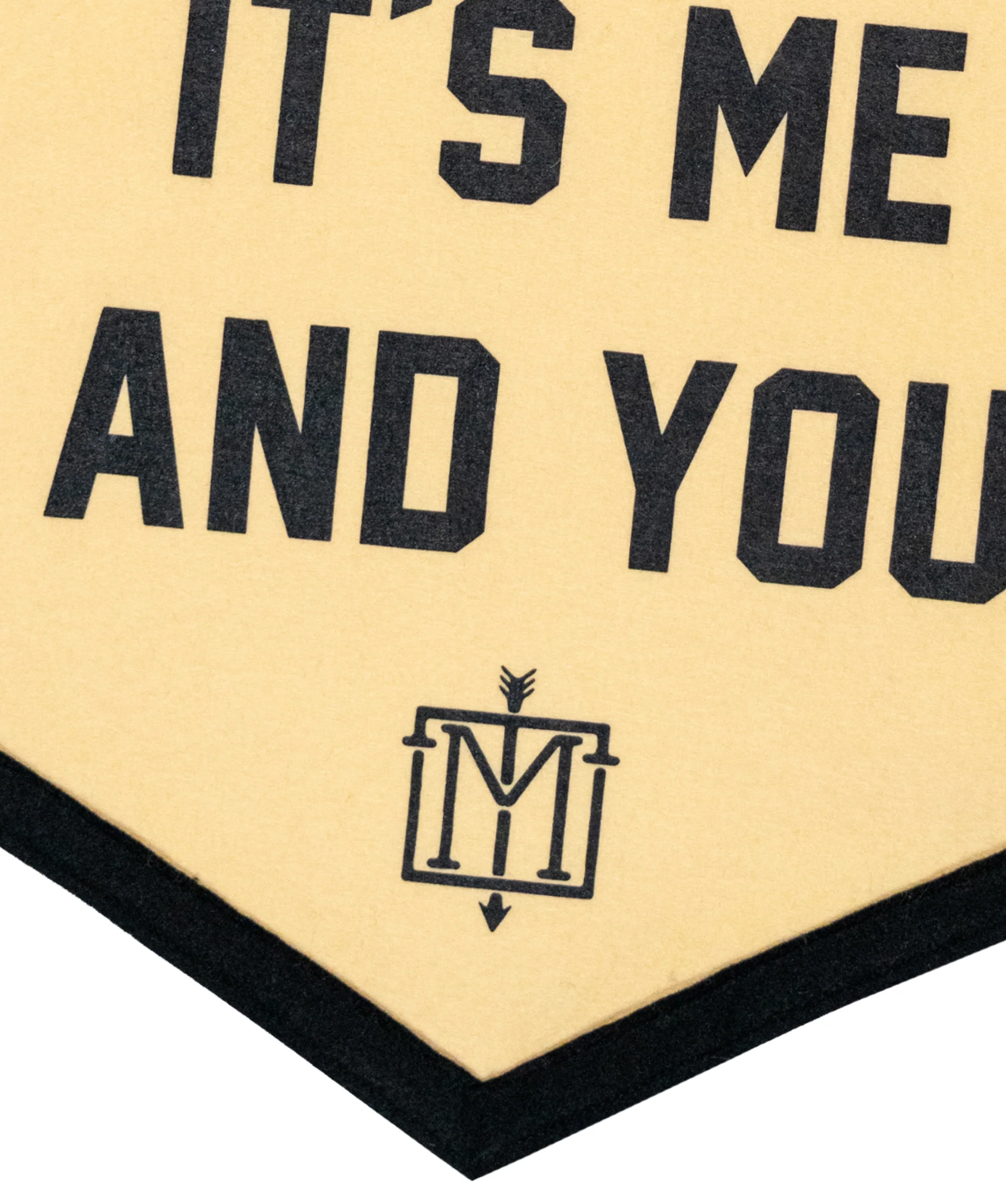 After The Party It's Me and You Camp Flag • The Menzingers x Oxford Pennant - Image 5