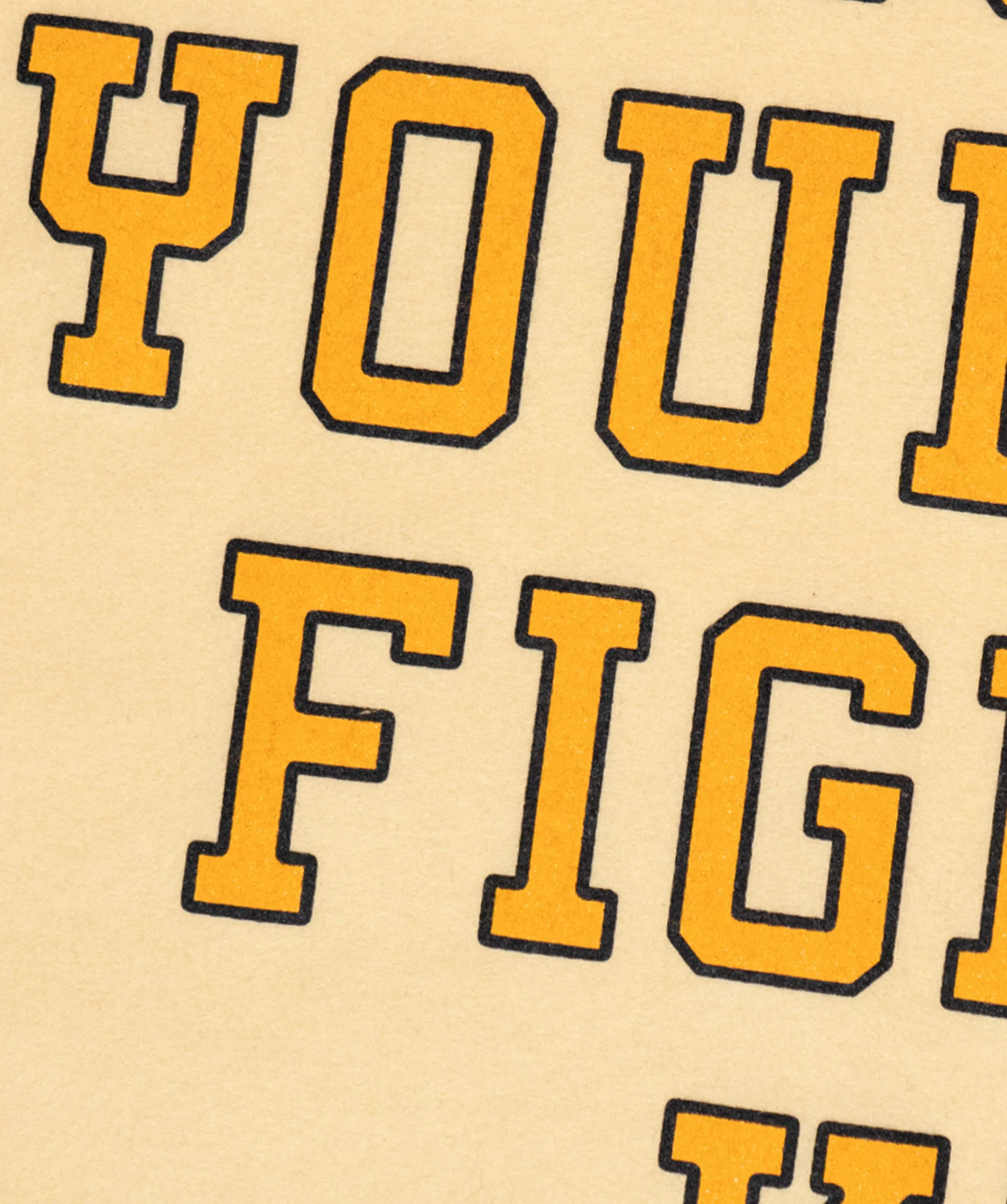Don't Lose Your Fight Camp Flag • All Time Low x Oxford Pennant - Image 4