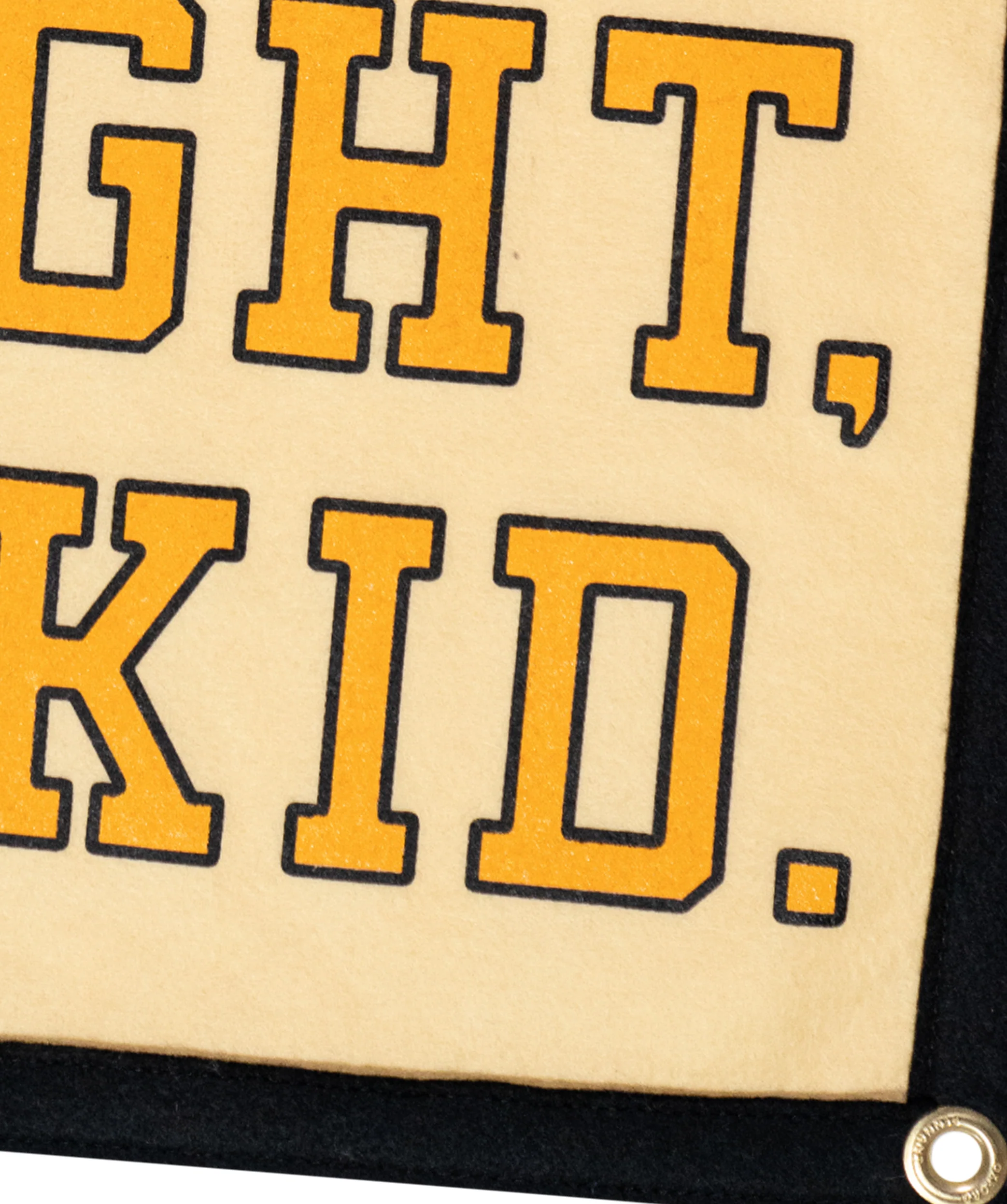 Don't Lose Your Fight Camp Flag • All Time Low x Oxford Pennant - Image 5