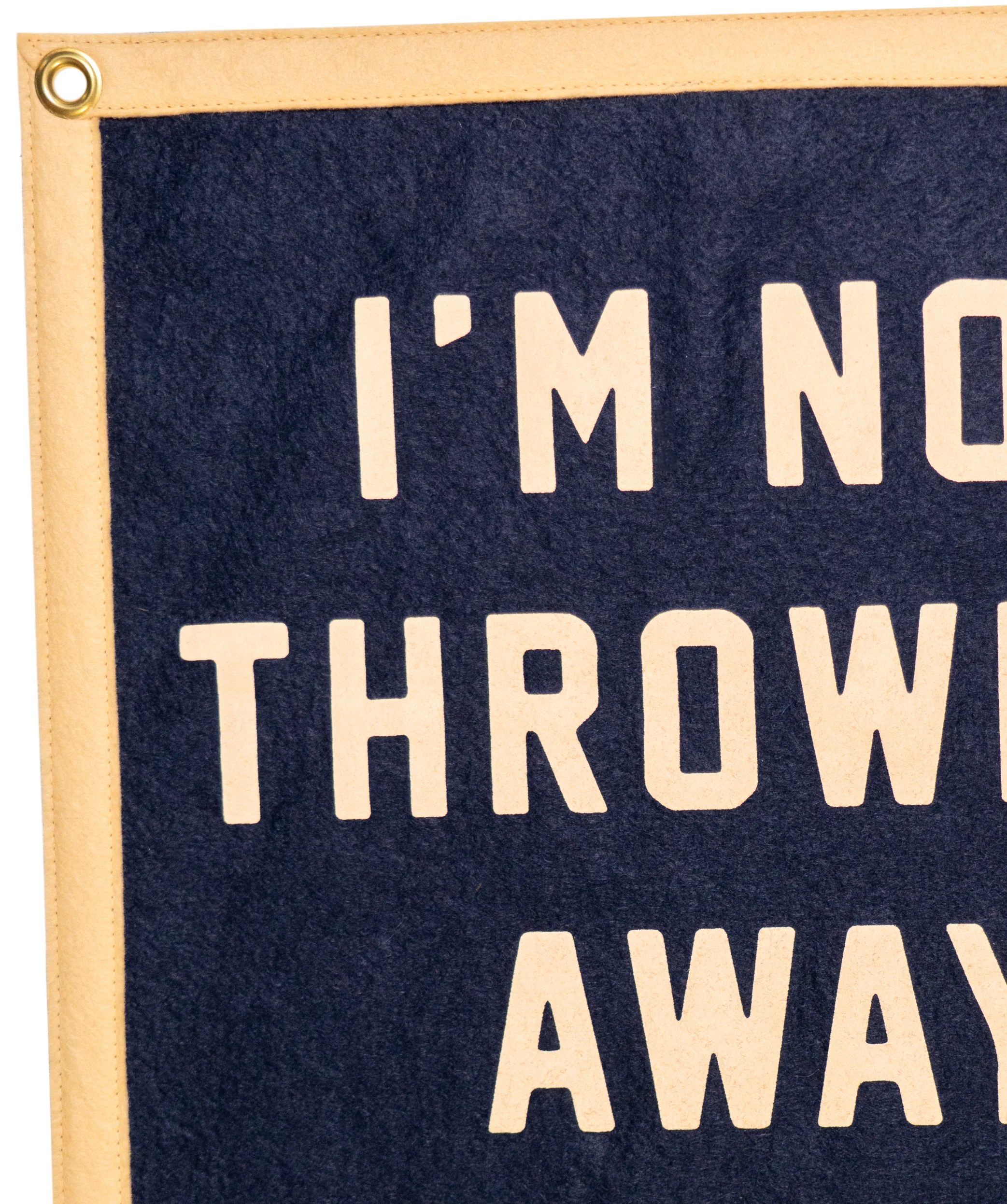 I'm Not Throwing Away My Shot Camp Flag • Hamilton x Oxford Pennant - Image 3