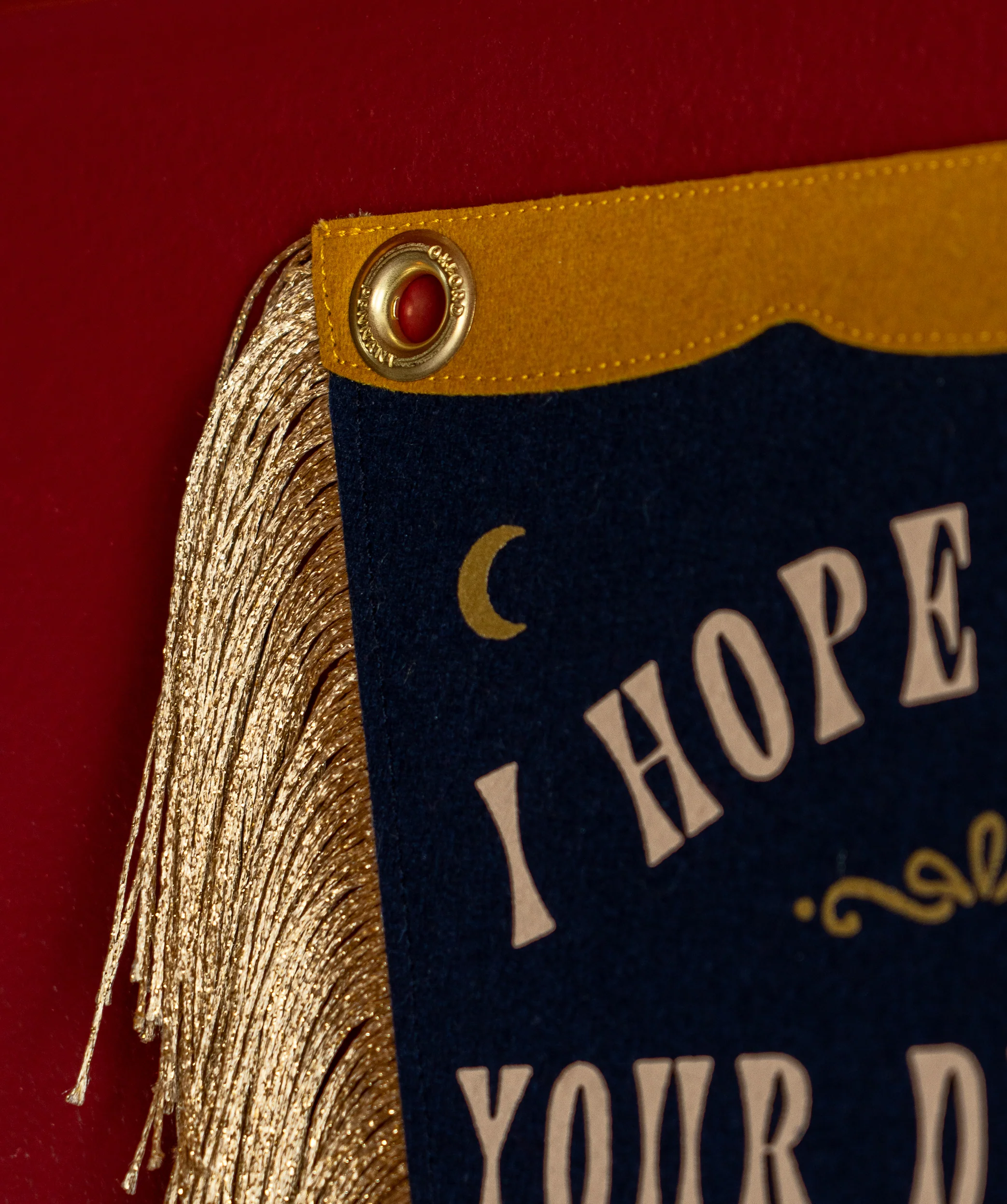 Limited Edition: In Dreams Fishtail Pennant • Sierra Ferrell x Oxford Pennant - Image 4