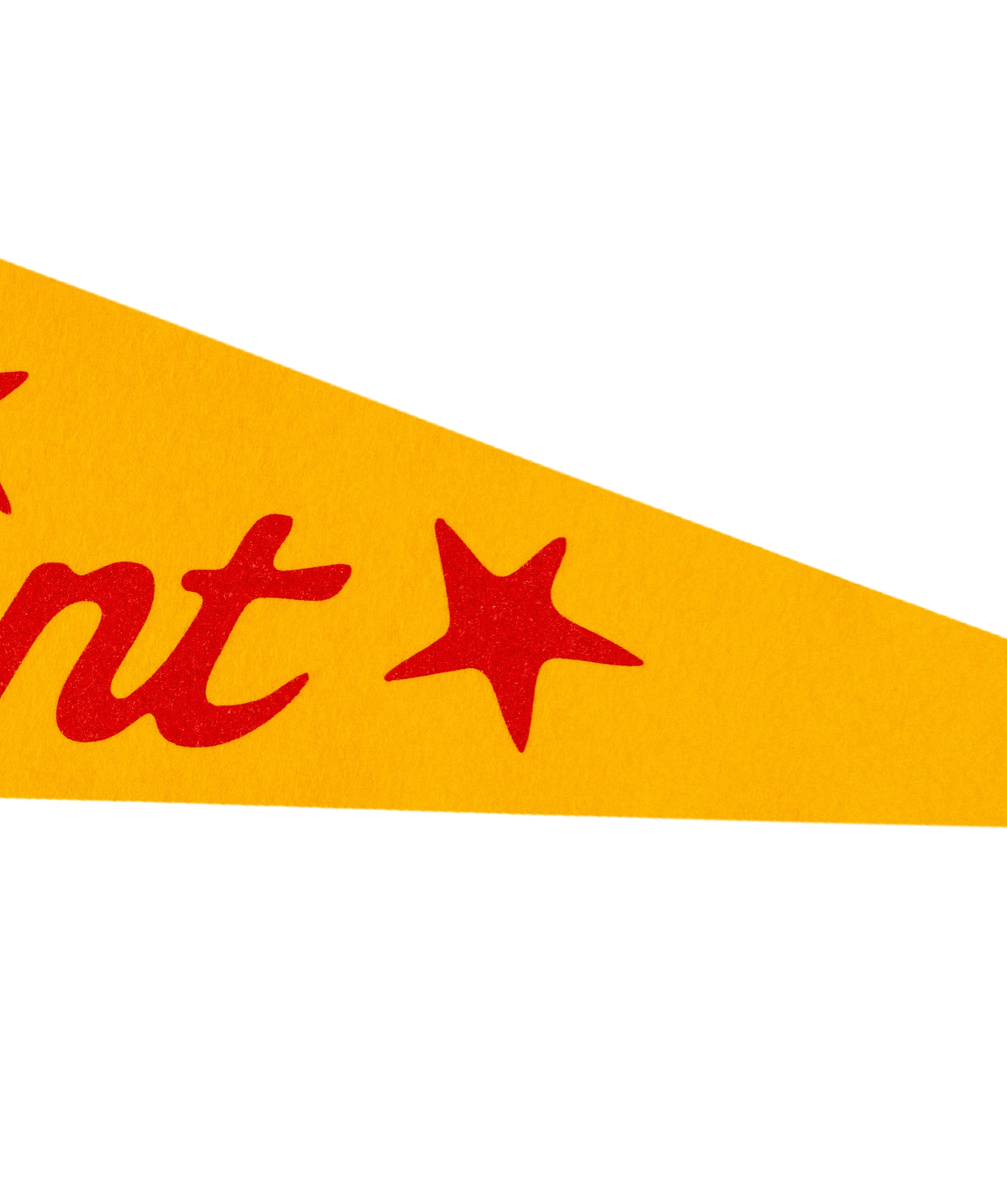 Make It Count Pennant • All Time Low x Oxford Pennant - Image 3