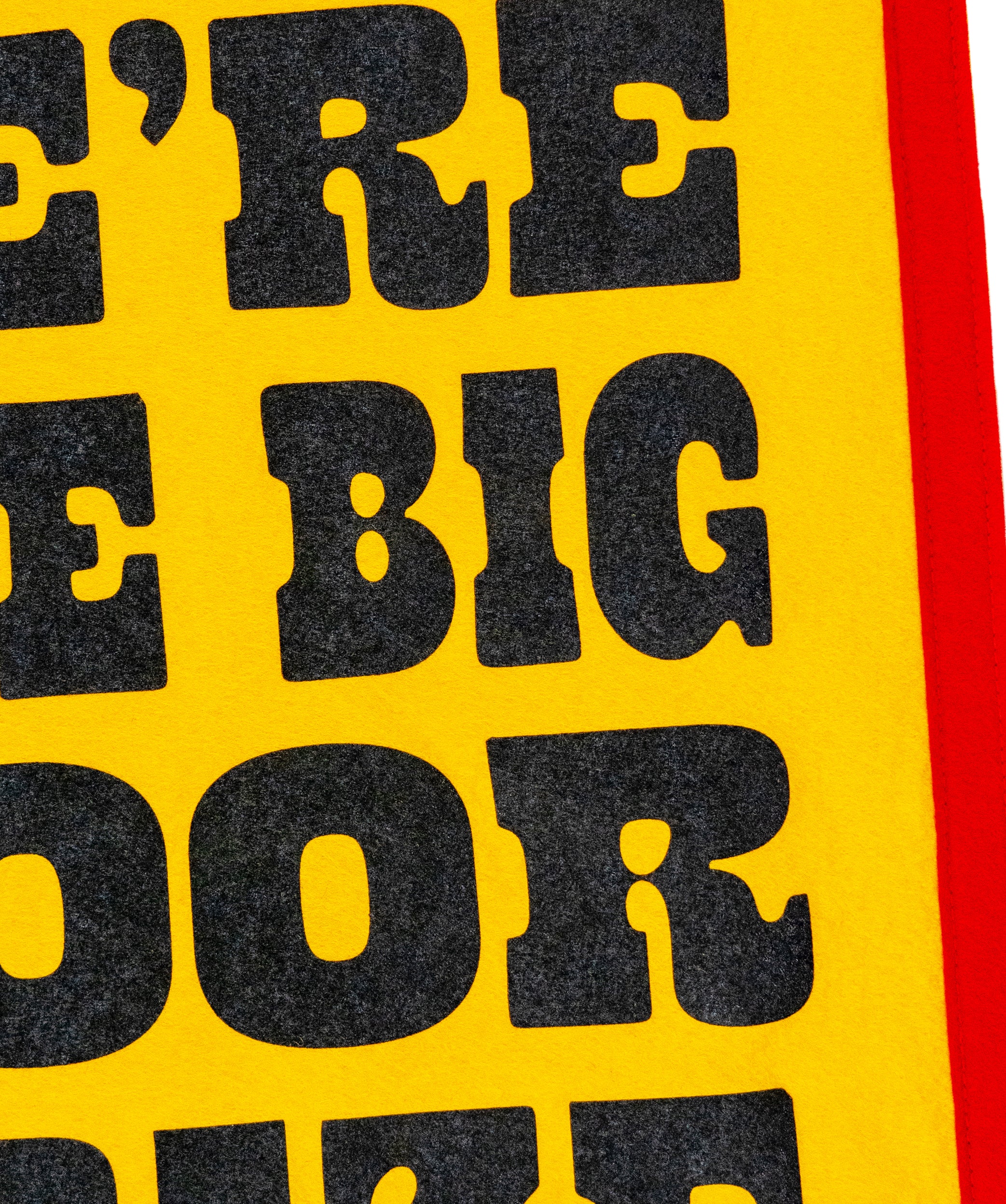 We're The Big Door Prize Camp Flag • John Prine x Oxford Pennant - Image 5